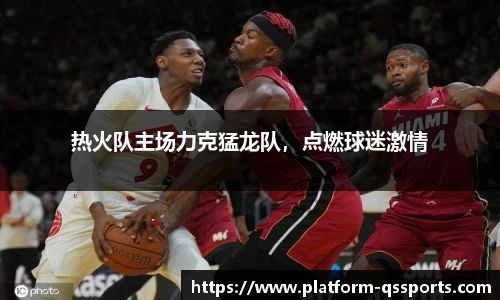 热火队主场力克猛龙队，点燃球迷激情